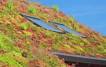 Redisham living roof systems