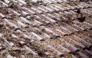 Redisham roof cleaning companies